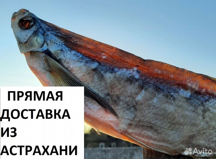 Вяленая чехонь/Прямая доставка из Астрахани