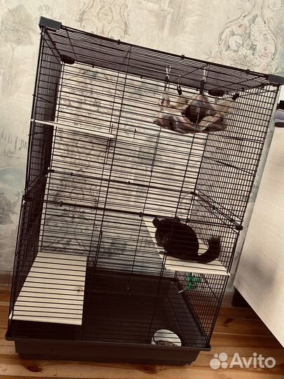 Коетка большая для грызунов