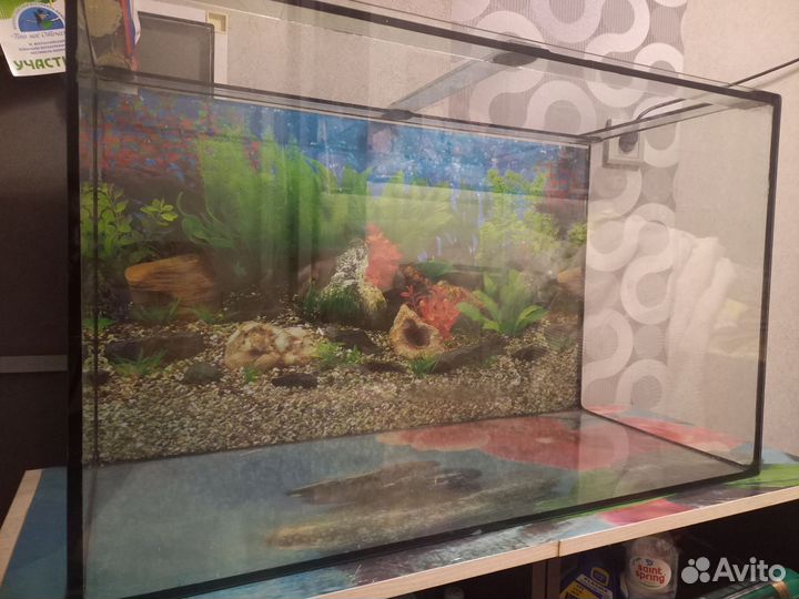 Аквариум