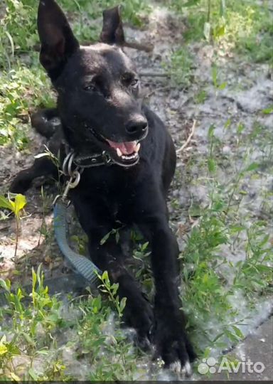 Мальчик из, черного приюта