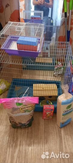 Клетка для грызунов бу