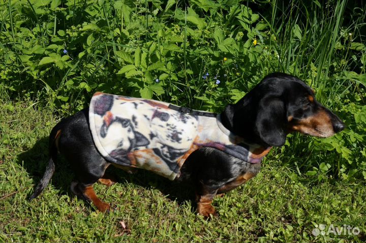 Шлейки для таксы специальная анатомическая модель