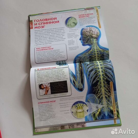 Книга энциклопедия