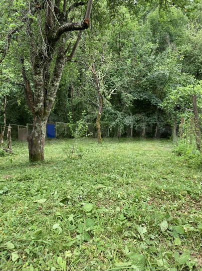 Участок 5,9 сот. (СНТ, ДНП)