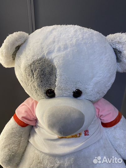 Плюшевый медведь