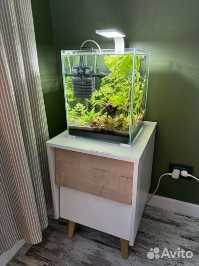 Аквариум