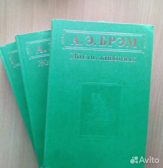 Брэм, Жизнь животных в 3т