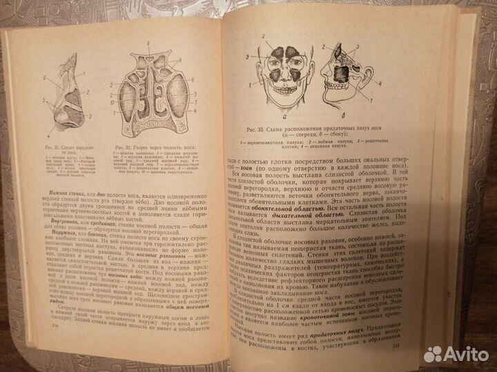 Л. В. Нейман Анатомия и патология органов слуха