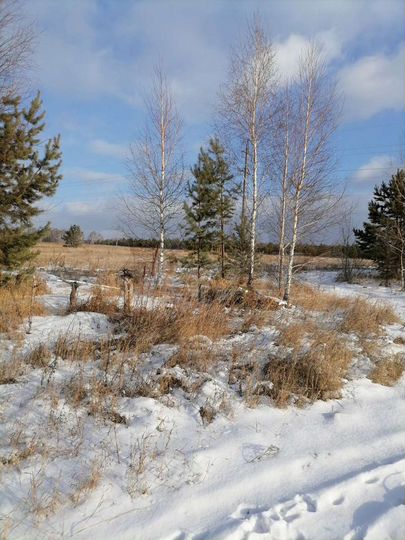 Участок 12,5 сот. (ИЖС)