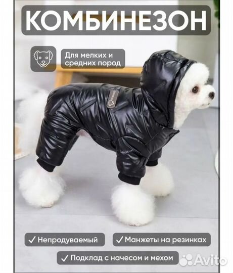 Комбинезон для собак мелких пород