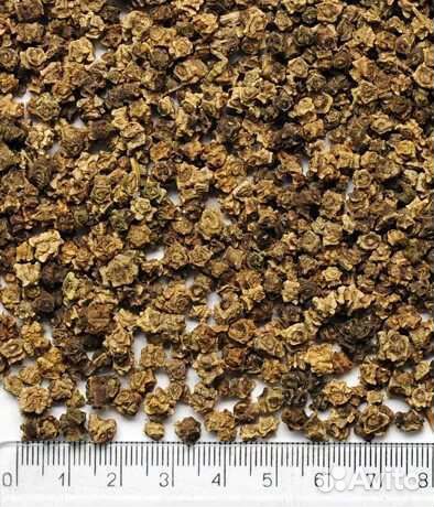 Семена кормовой свеклы. Бригадир