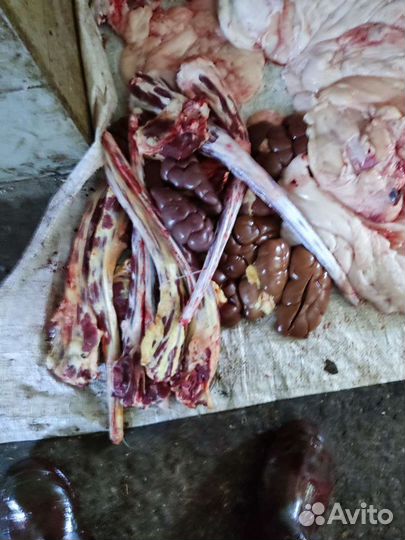 Мясо говядина для собак