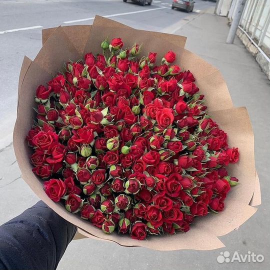 Букет из 51 красной кустовой розы