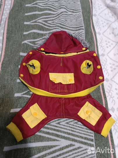 Одежда для маленьких собак xs