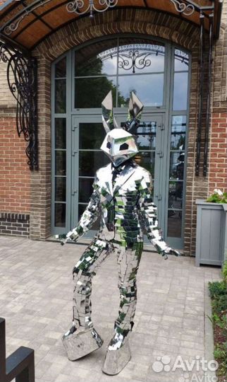 Зеркальные люди