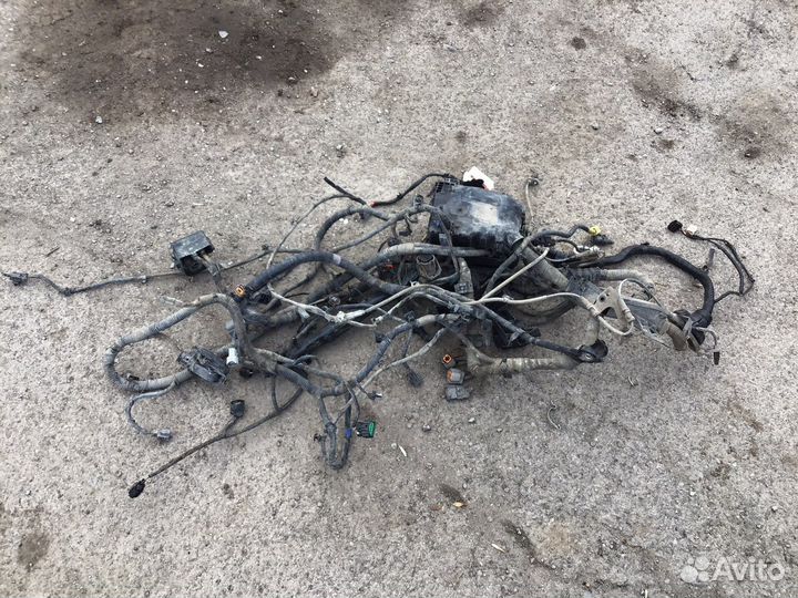 Проводка двс Kia Rio 4