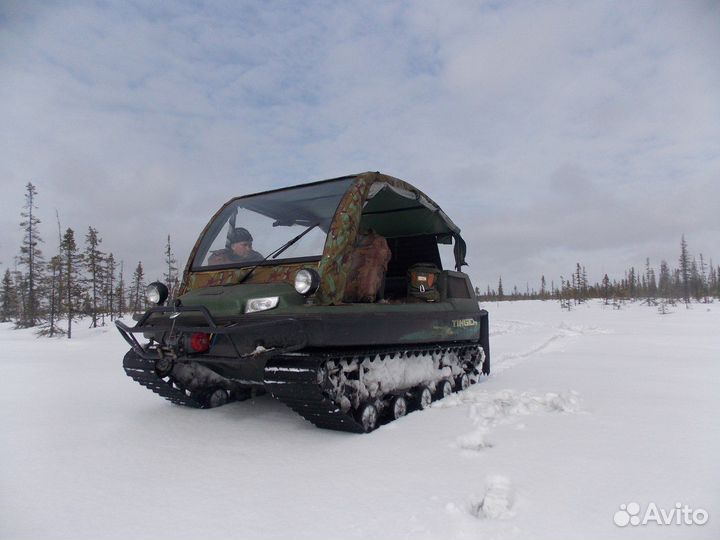 Снегоболотоход