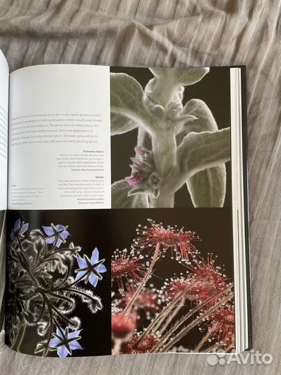 Книги по искусству