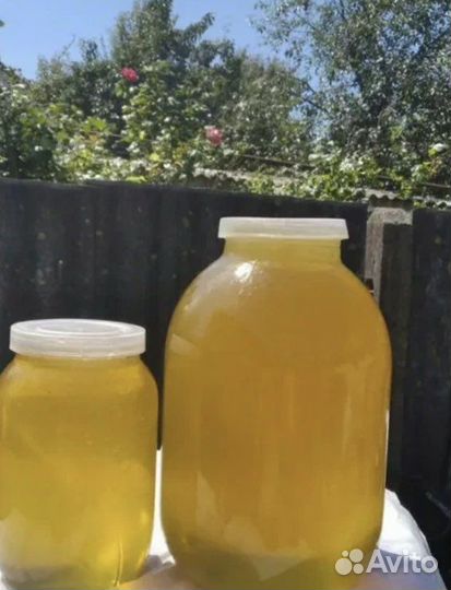 Мед из Белгорода,Соты,Пыльца,Прополис