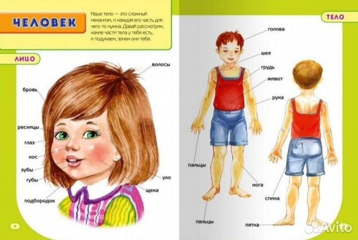 Первая книга малыша