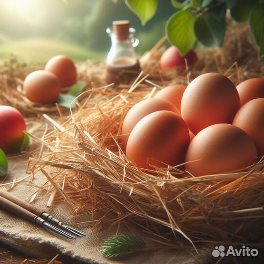 Упаковщик/сборщик яиц питание+проживание+проезд