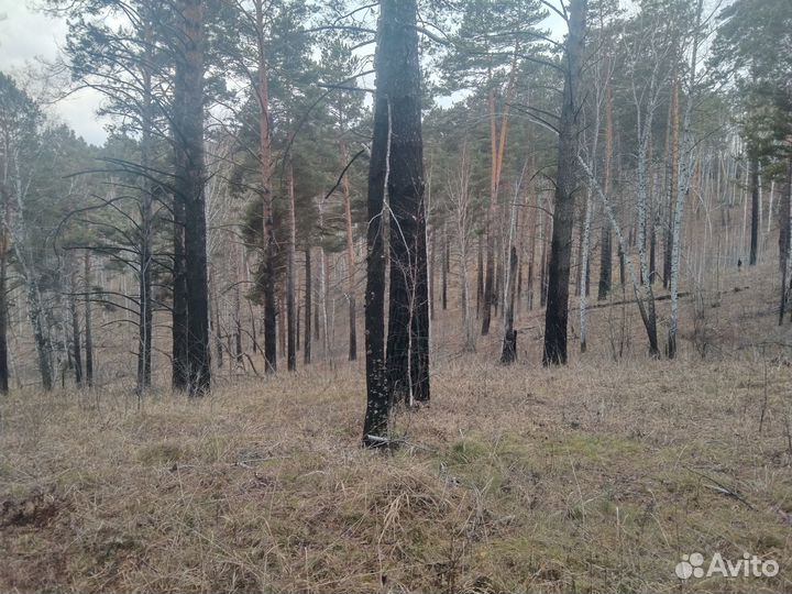 Продам лес 6-4 м