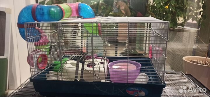 Клетка для хомяка