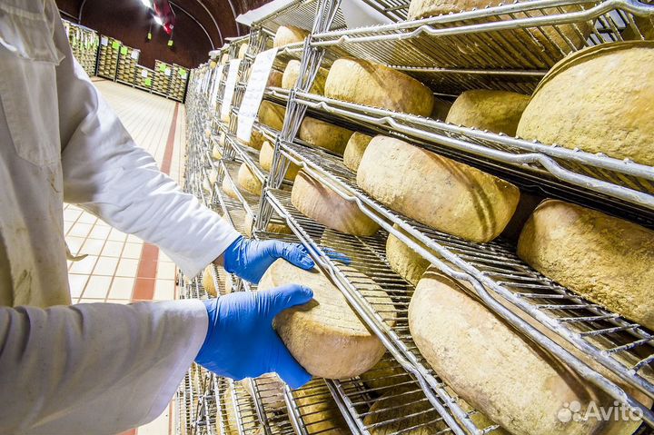 Оператор производственной линии 3300 за смену