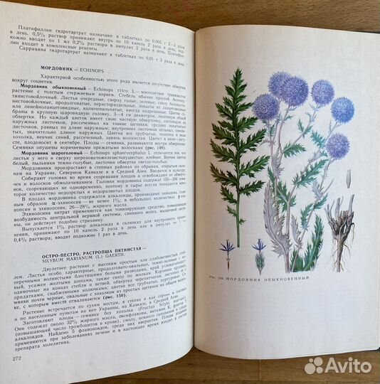 Дикорастущие лекарственные растения СССР Гаммерман