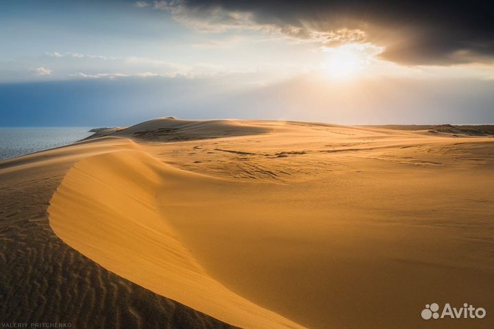 Экскурсии по Калининграду и области