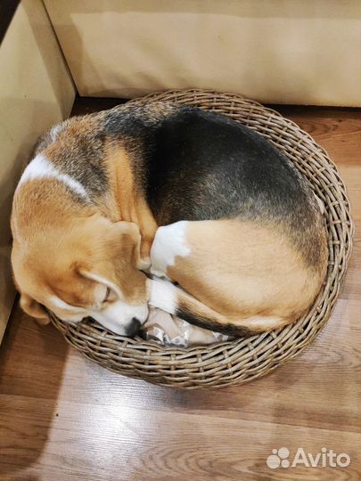 Лежанка для собак и кошек из ротанга