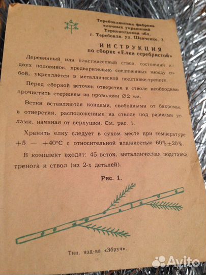 Елка серебристая СССР