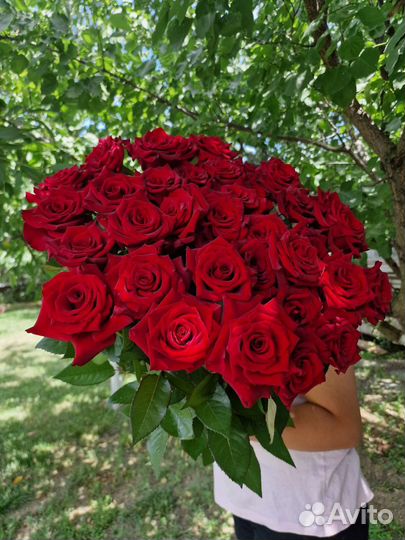 Цветы оптом розы