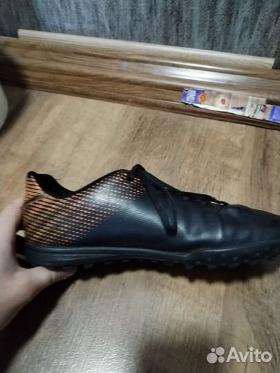 Сороконожки