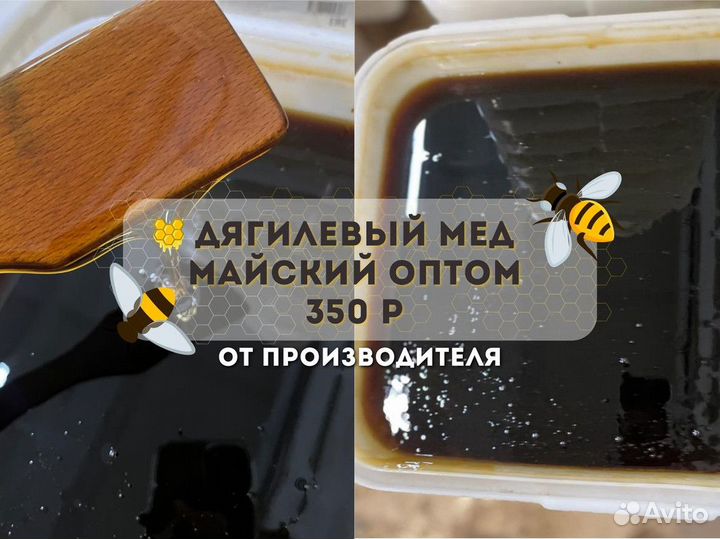 Дягилевый свежий мёд оптом