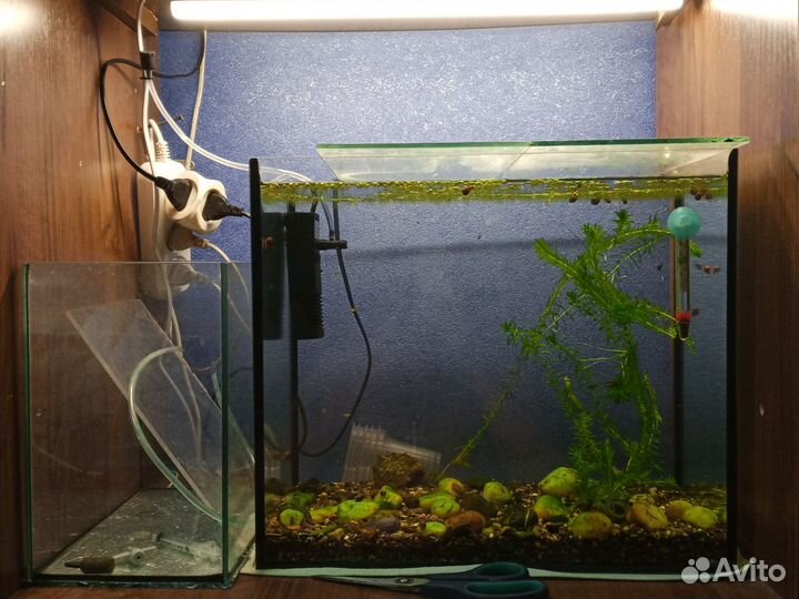 Аквариум