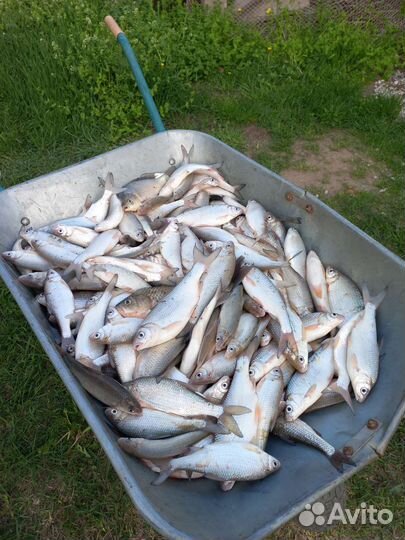 Рыбалка в Астрахани