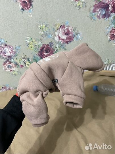 Костюм собаке