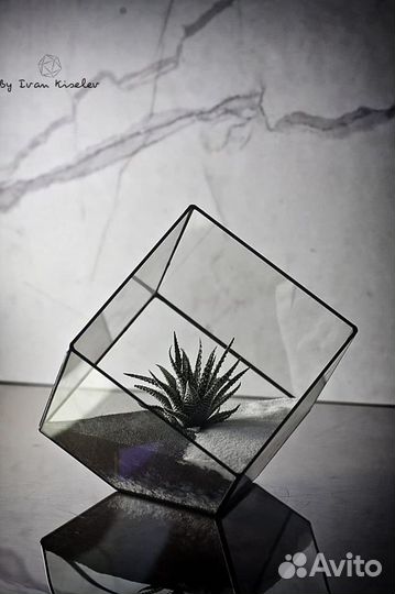 Флорариум, подарок