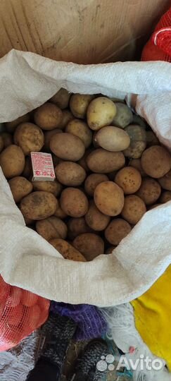 Картофель на еду домашний