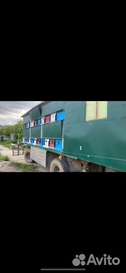 Пчелопавильон