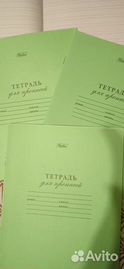 Тетради и дневники