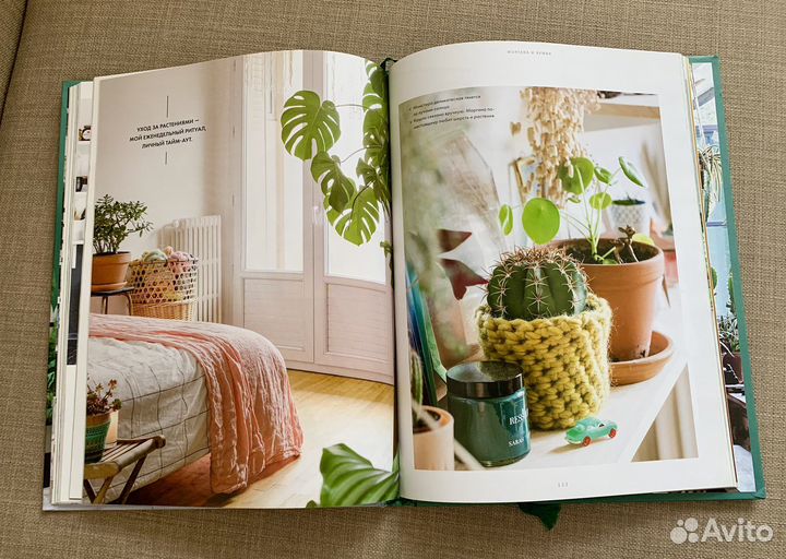 Urban Jungle. Издательсво миф