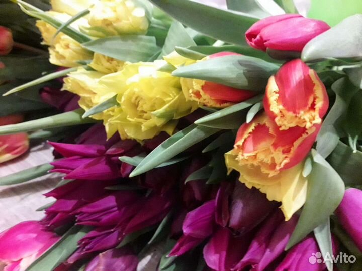 Тюльпаны на 8 марта, с доставкой