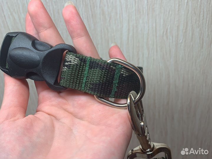 Ошейник и поводок для собак