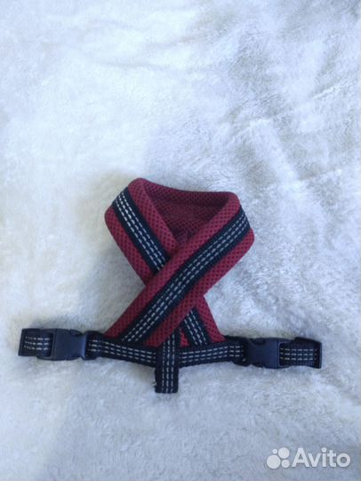 Шлейка для собак