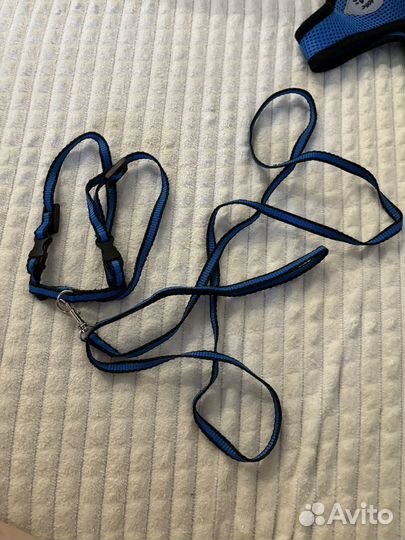 Шлейка для собаки