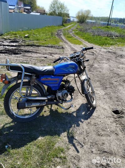 Alpha racer 110