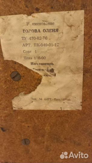 Чучело головы оленя