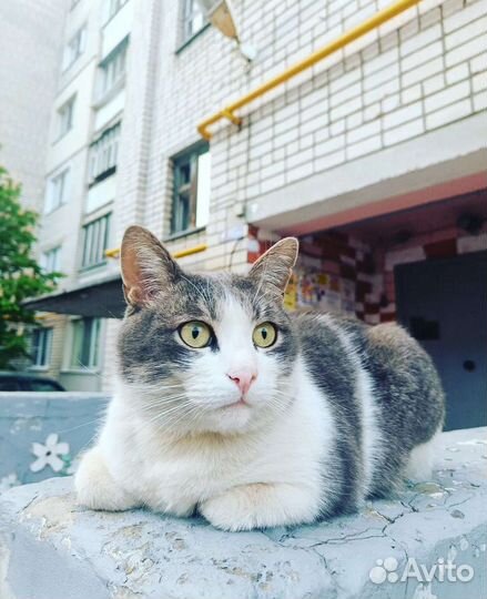 Мобильный фотограф/контент/фотограф/сьемки